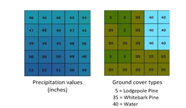 An image showing two types of raster data, measurements and codes